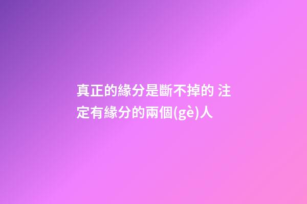 真正的緣分是斷不掉的 注定有緣分的兩個(gè)人